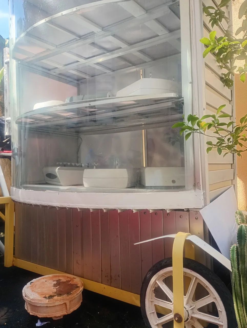 Carrinho vitrine  - Foto 2