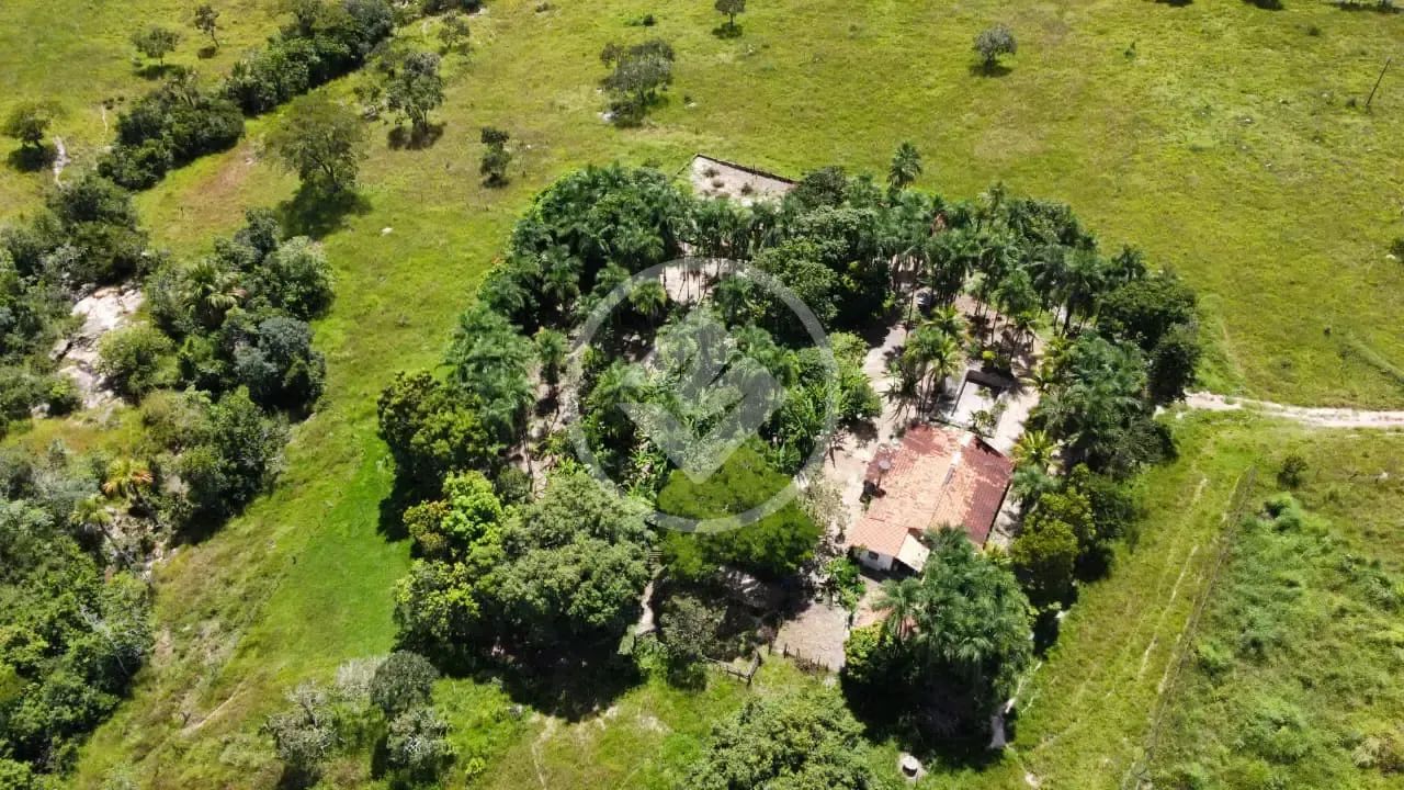 Fazenda / Sítio de 6 Alqueires e 28 litros em Cromínia codigo: 291978 - Foto 5