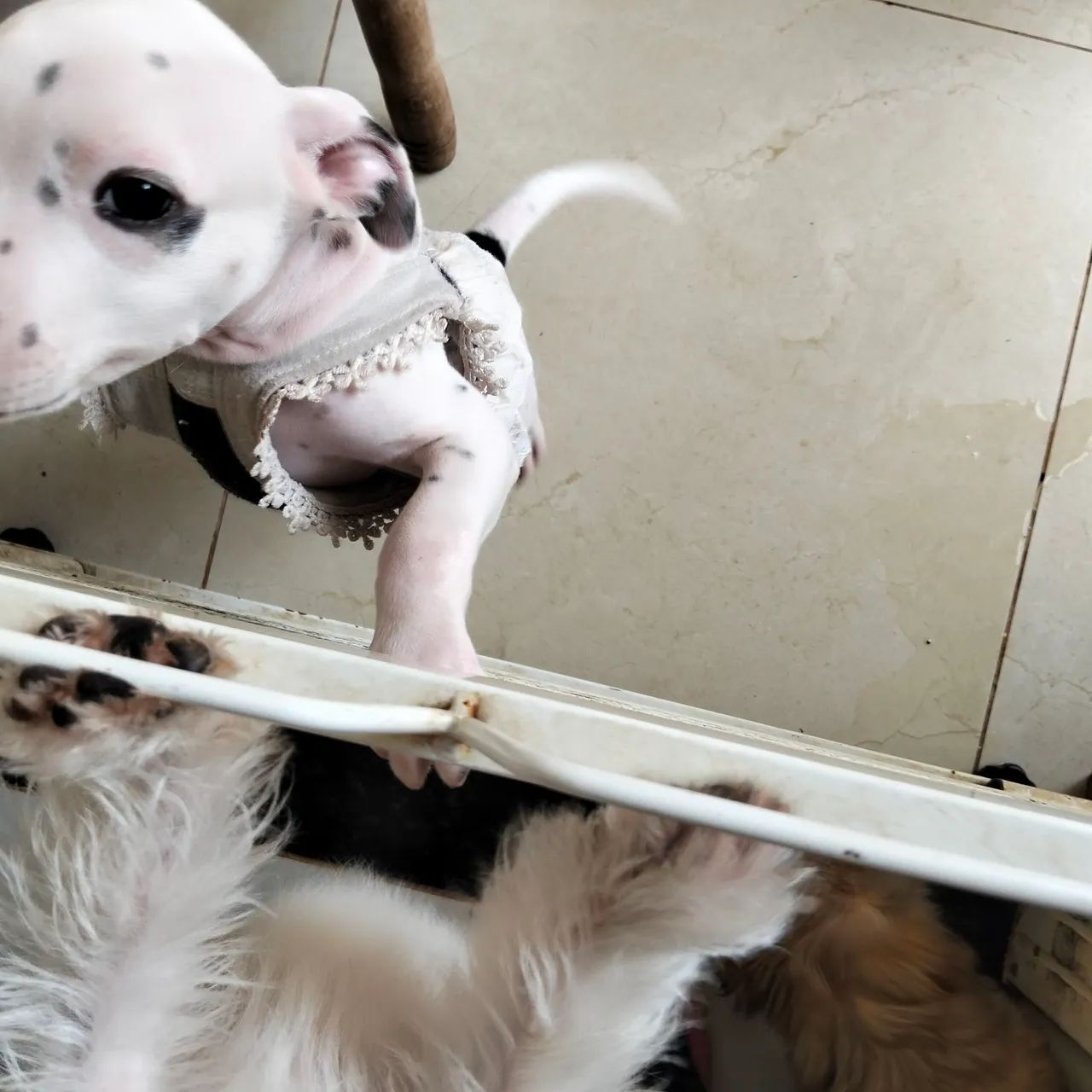 Uma princesa  - Foto 3