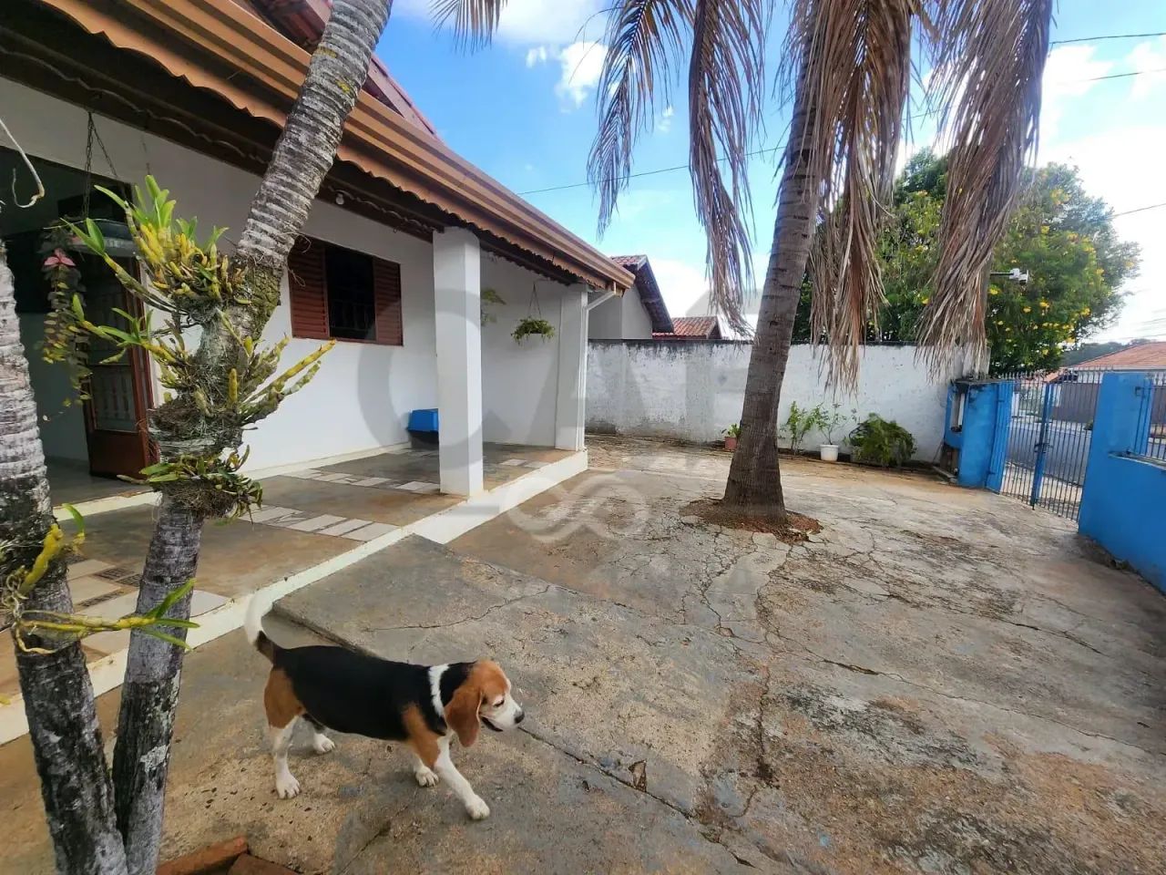 Casa à venda, Parque dos Ipês, Holambra, SP - Foto 5
