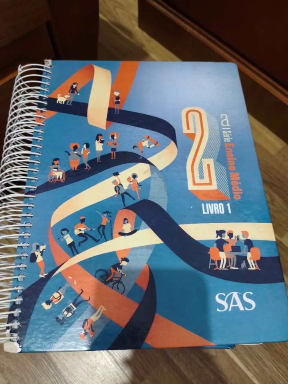 Apostila SAS 2019 - Foto 2