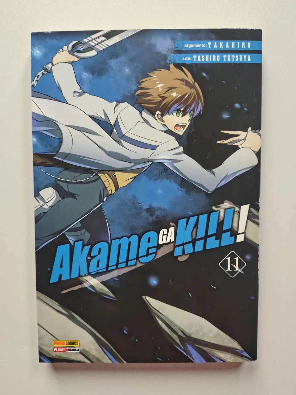 Akame ga Kill - Vol 11 (Usado)
