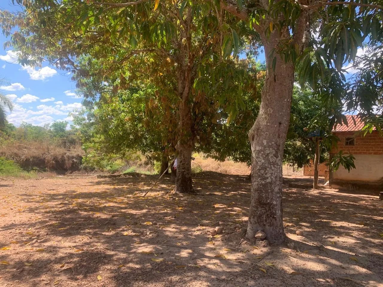 OPORTUNIDADE CHÁCARA A VENDA EM PIUM-TO - Foto 4