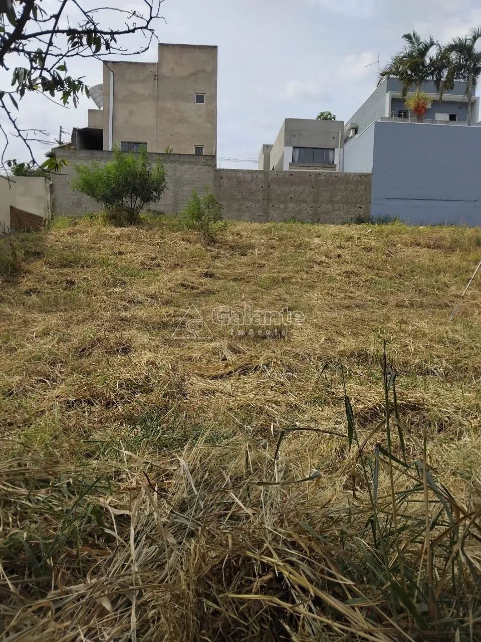 terreno - Jardim Ibirapuera - Campinas - Foto 4