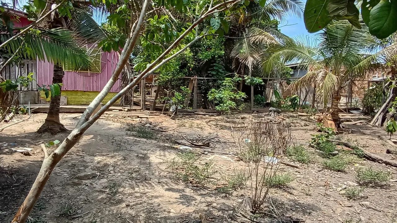 Chácara com duas casas  - Foto 4