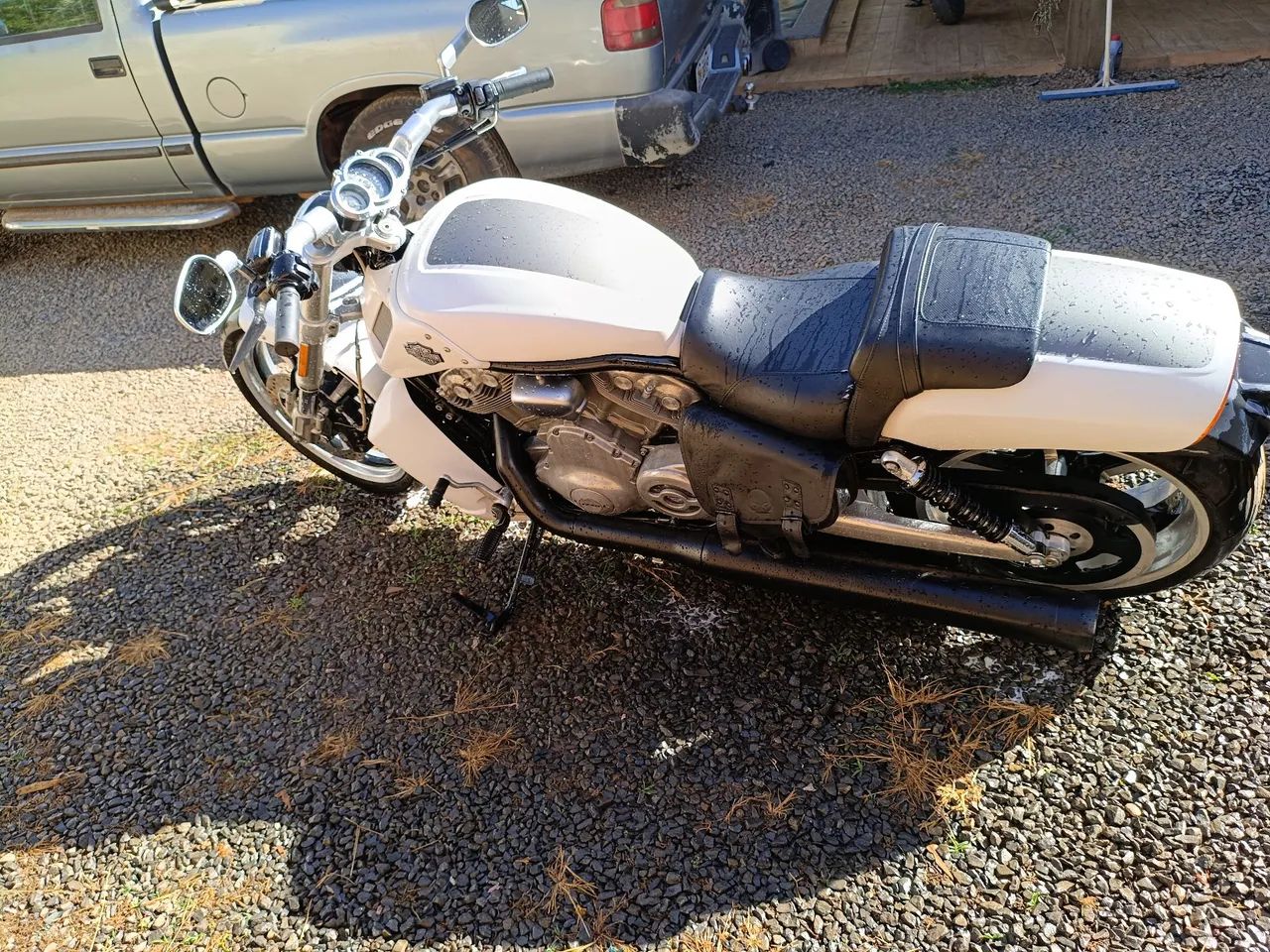 Harley v rod muscle  - Foto 2