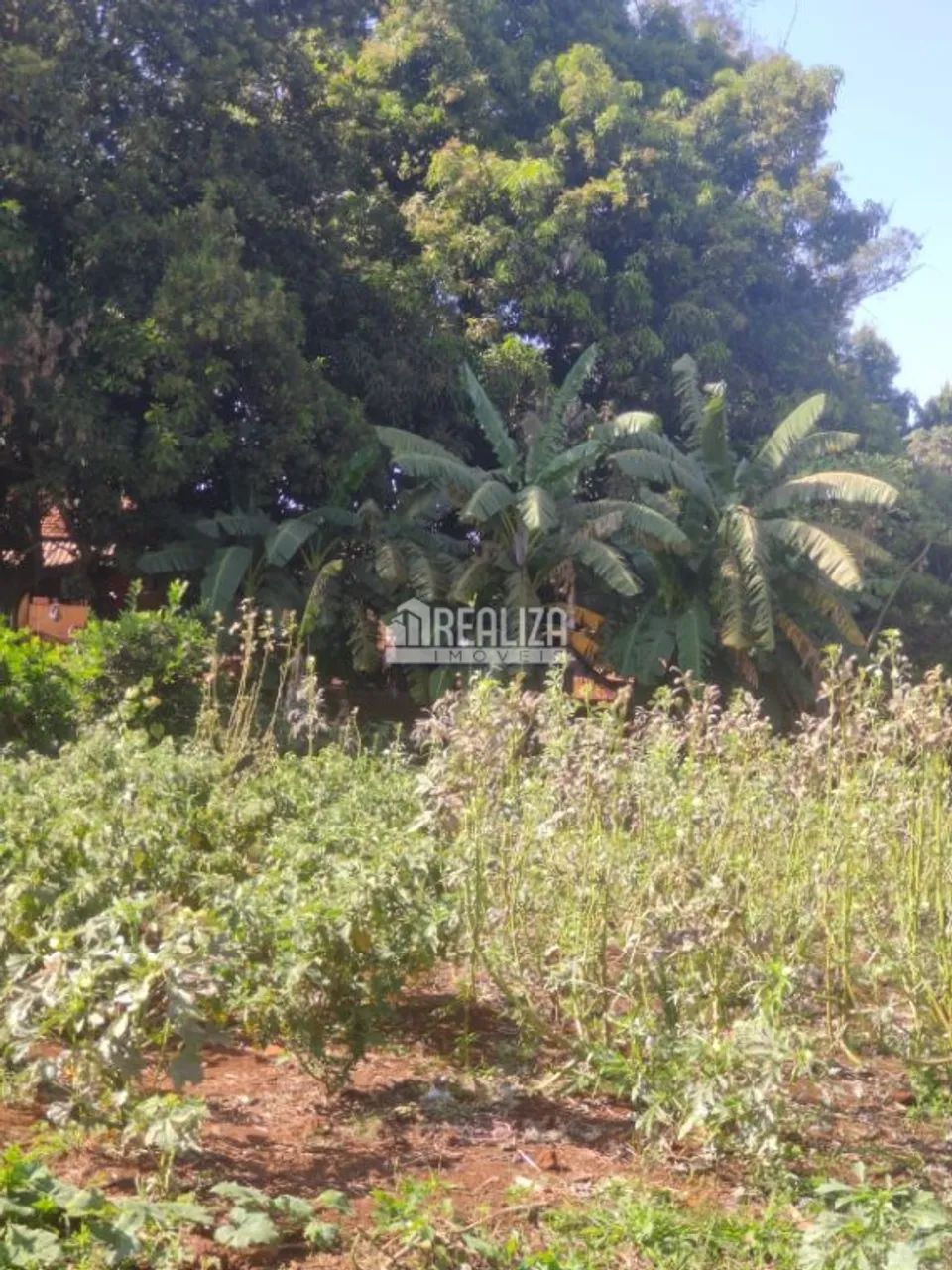 Chácara à venda próximo à Delta: seu refúgio rural na cidade - Foto 4