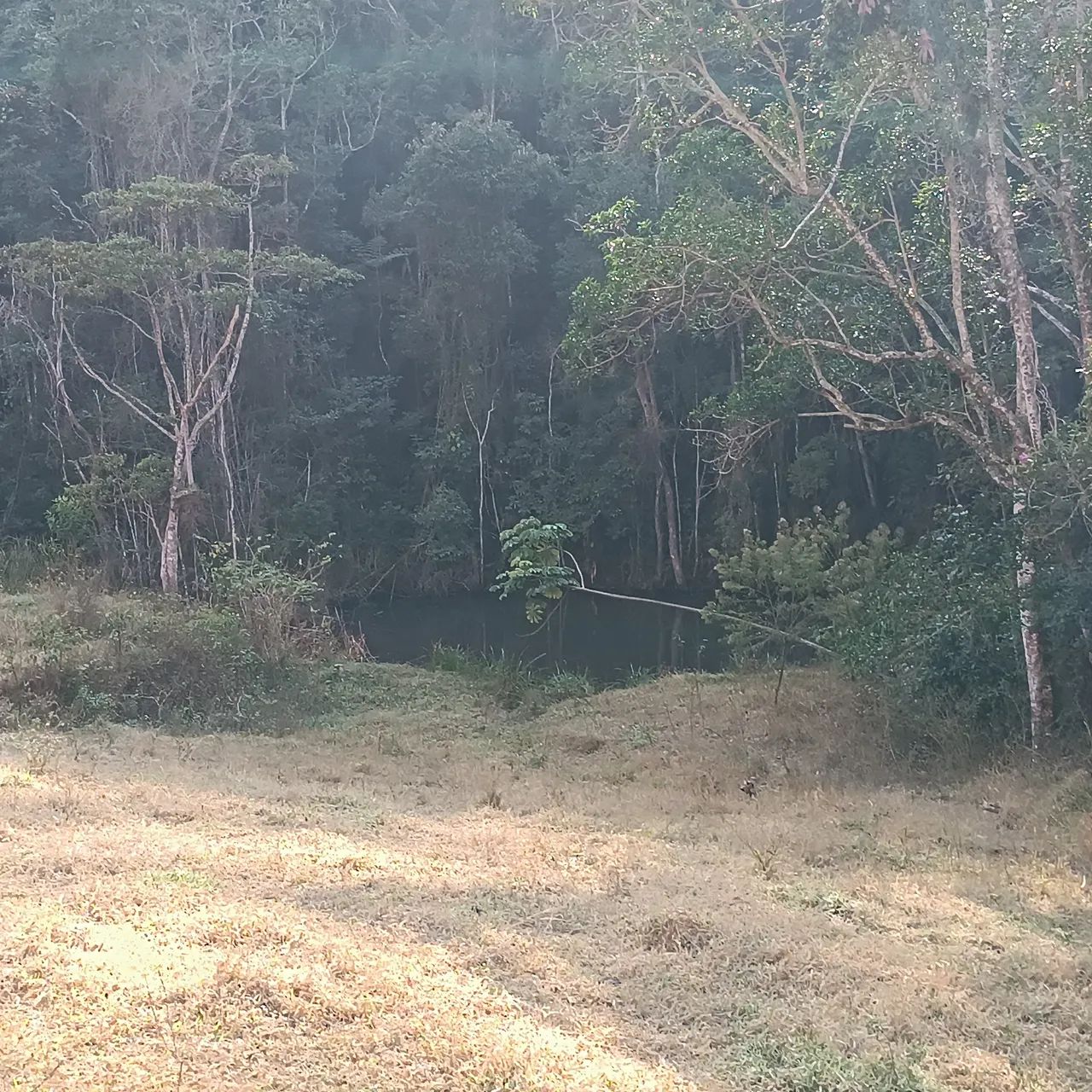 VENDO SITIO 3 ALQUEIRES EM NATIVIDADE DA SERRA ( 4291 ) - Foto 11