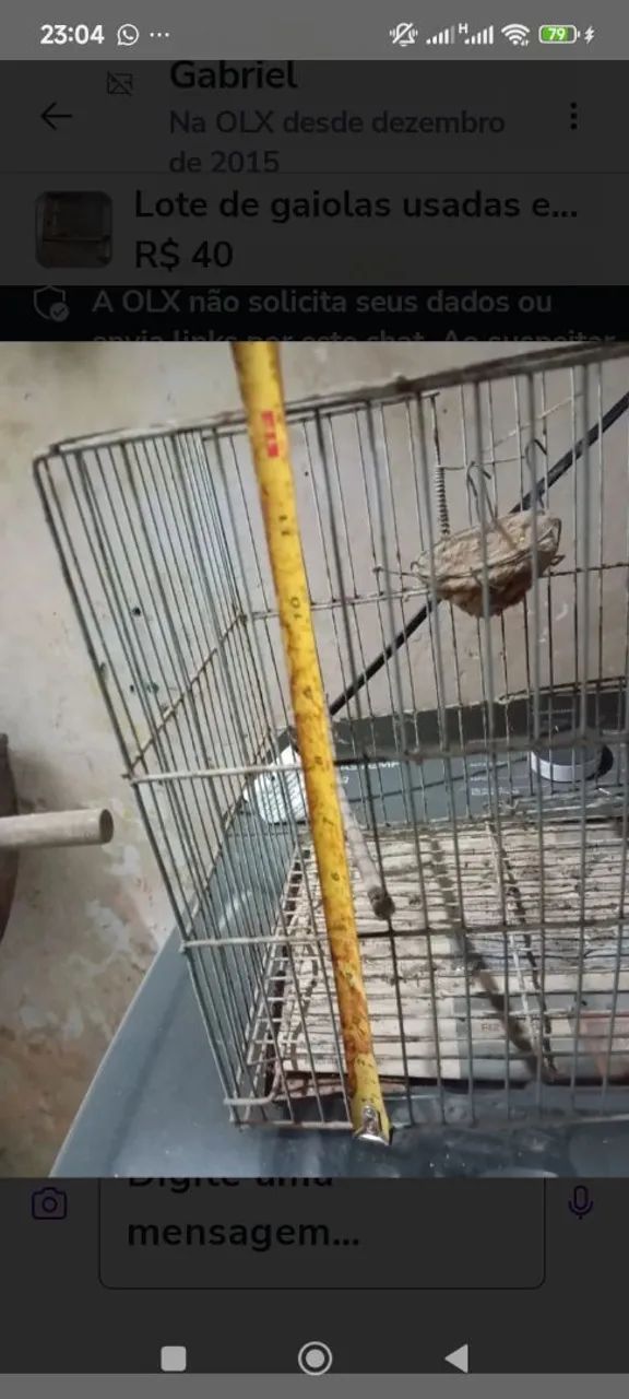 Lote de galiolas preços a partir de 40 reais 