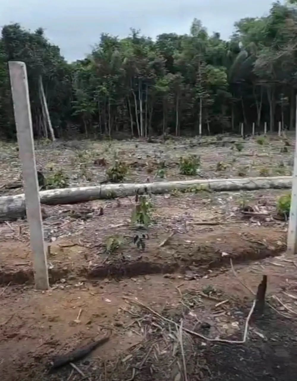Vendo Lote de Terreno no Ramal da Cacheira do Castanho (390m²) - Foto 5