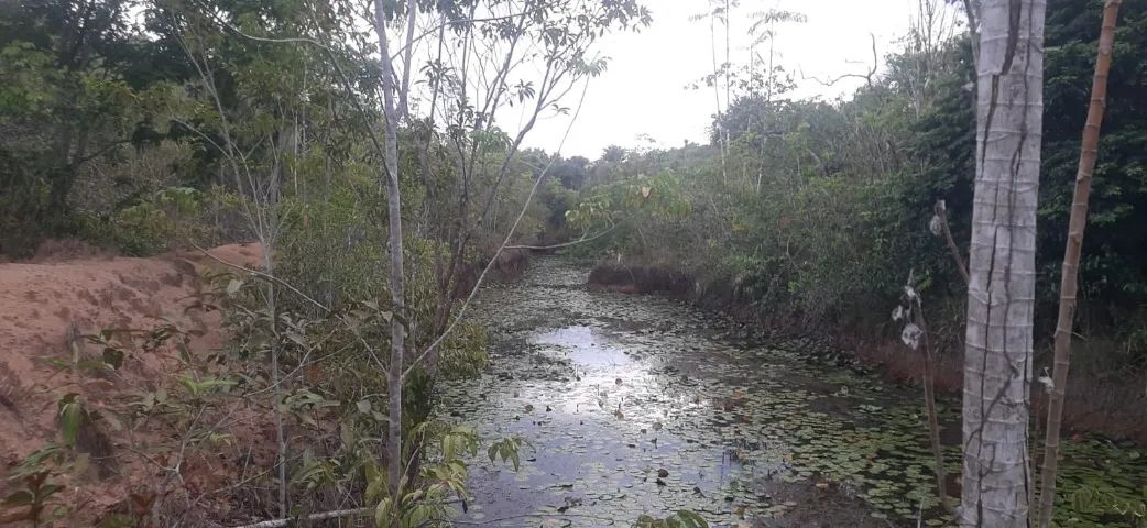 Terreno Torrão do Matapi  - Foto 2