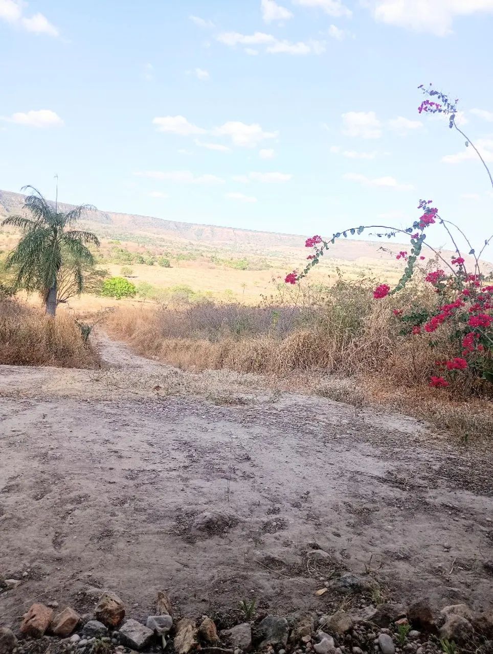 SÍTIO BELEZA E PAZ  - Foto 3