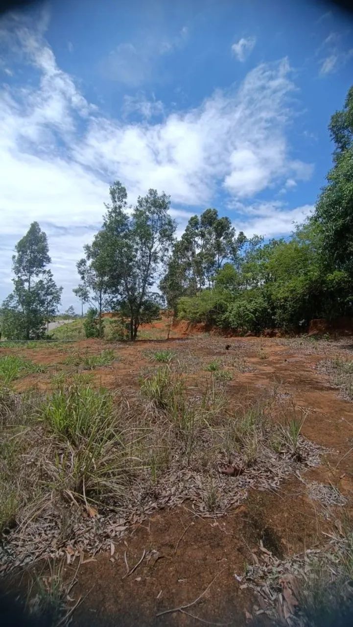 Terreno a venda em jardim América  - Foto 4