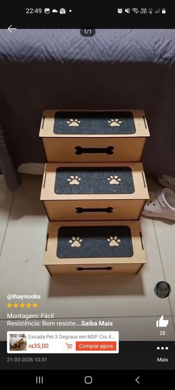Escada pet