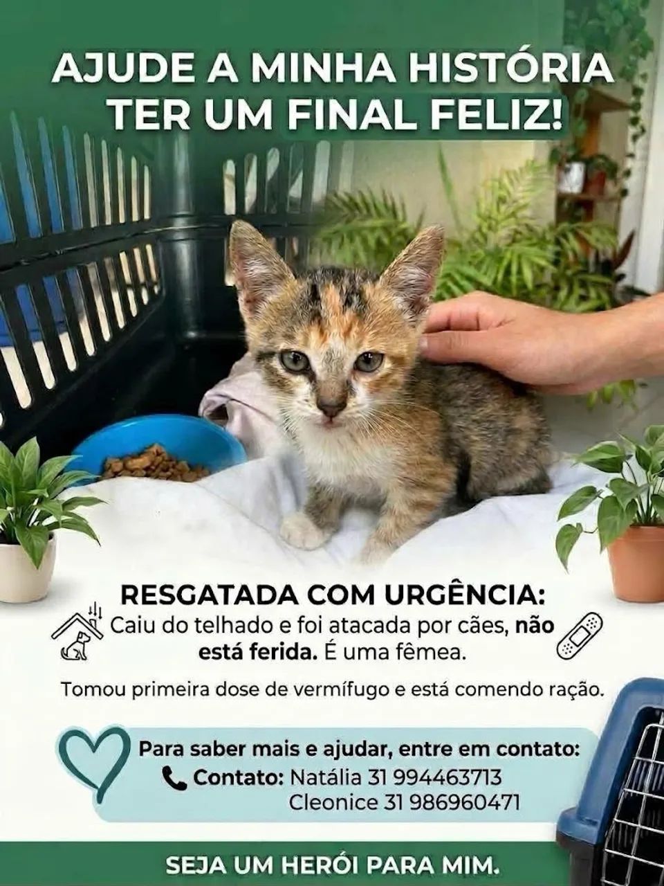 Doação 