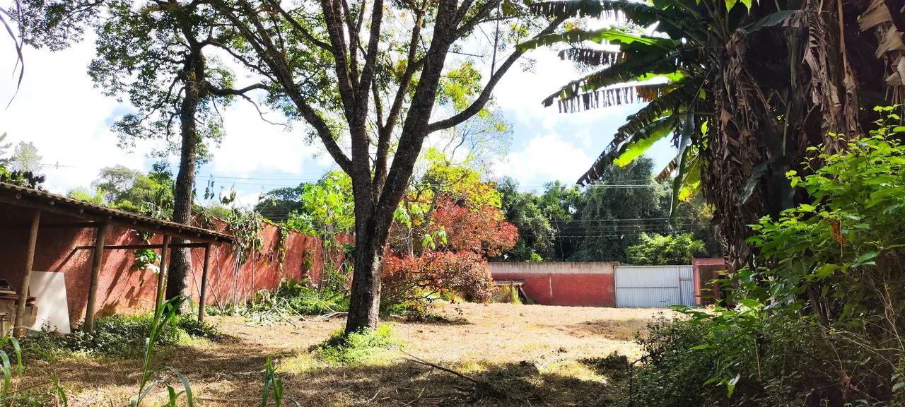 Sítio oportunidade  próximo a Nissin miojo  - Foto 5