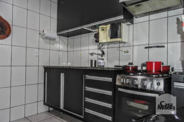 Casa à venda com 3 dormitórios em Alto caiçaras, Belo horizonte cod:244718 - Foto 12