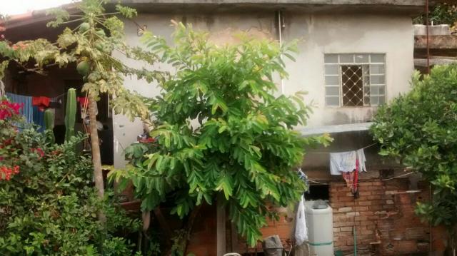 Casa à venda com 3 dormitórios em São josé, Belo horizonte cod:1251 - Foto 4