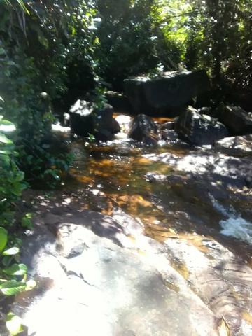 Vendo fazenda em Wenceslau Guimarães - Foto 6