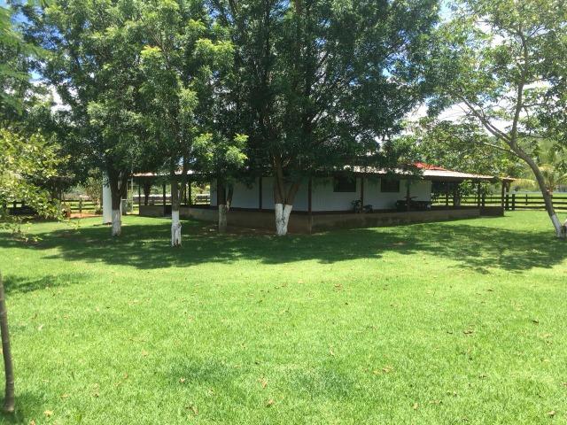 Fazenda Rosario Oeste 50 km fora asfalto 782 ha R$ 3 mi - Foto 2