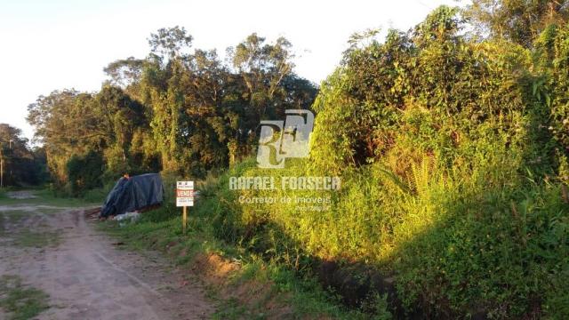 Lote à venda, , São José I - Itapoá/SC - Foto 3