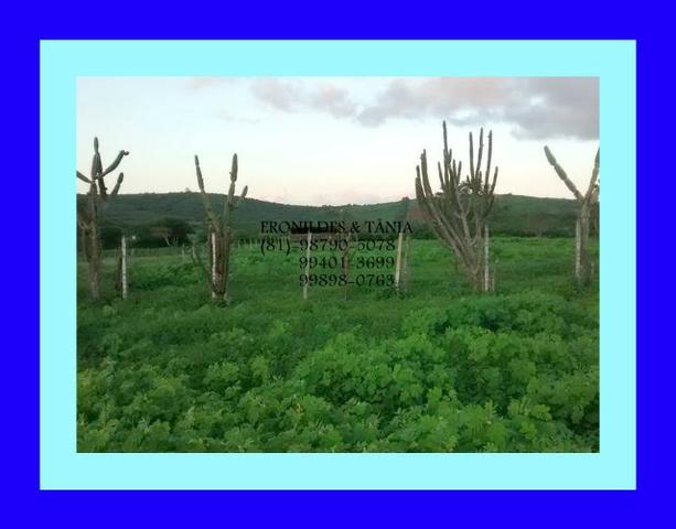 Fazenda Próximo Avencas por 15 mil ,cada Hectares ,Agende já sua Visita ! - Foto 12