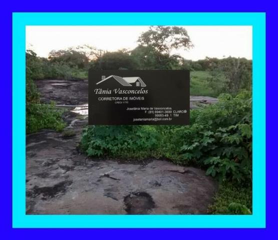 Fazenda Próximo Avencas por 15 mil ,cada Hectares ,Agende já sua Visita !
