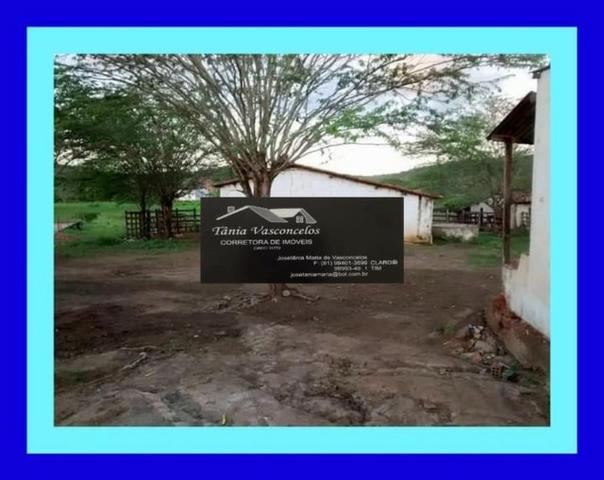 Fazenda Próximo Avencas por 15 mil ,cada Hectares ,Agende já sua Visita ! - Foto 9