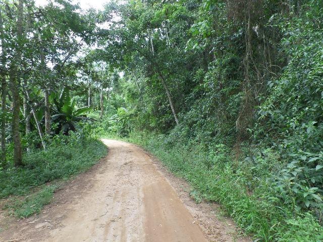 154 - Área de terra em Providência - Foto 16