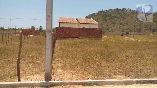 Terreno rural à venda, Barrocão, Itaitinga. - Foto 4