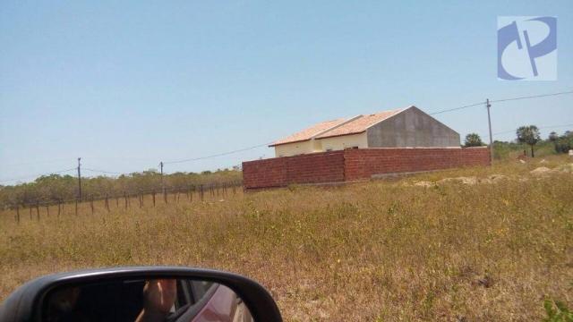 Terreno rural à venda, Barrocão, Itaitinga. - Foto 2