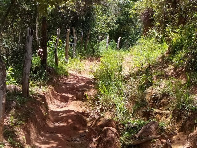 Vendo Fazenda em Rio da Prata - Distrito de Guarapari - Foto 6