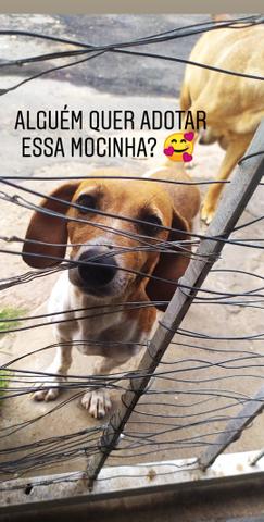 Doação