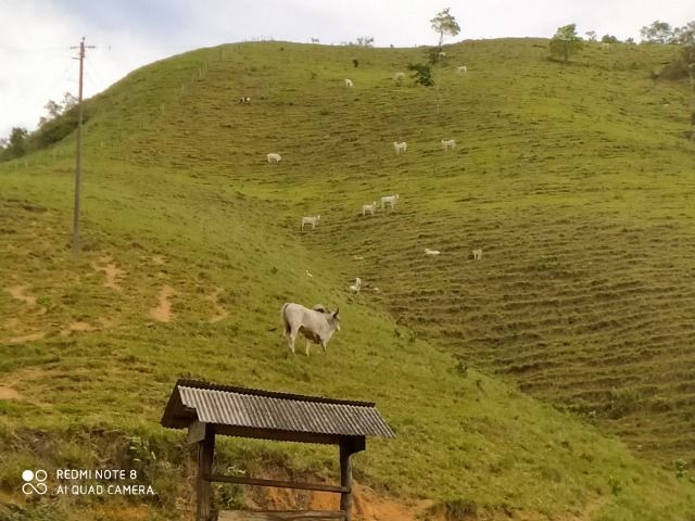 Vendo Fazenda com 27,5 Hectares em Rio Calçado - Guarapari - Foto 3