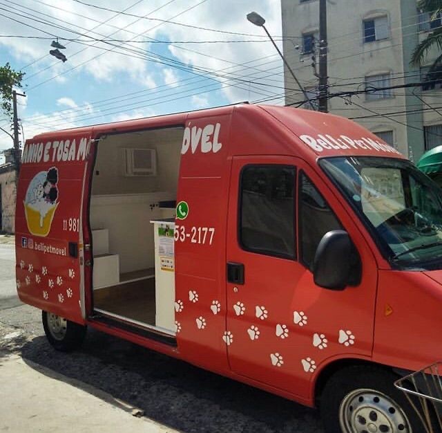 PET MOVEL