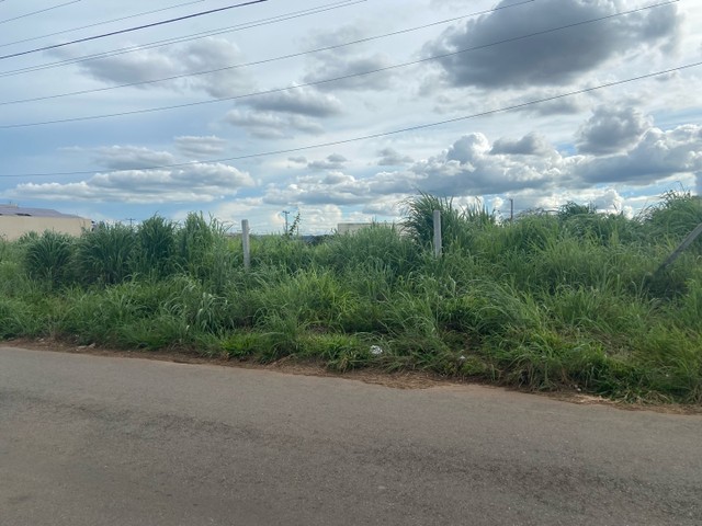 Área na Vila Maria com 12 lotes 