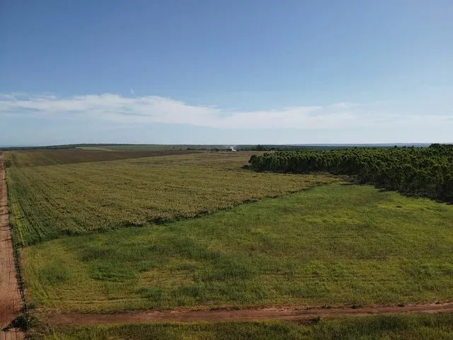 FAZENDA  DE OPORTININADE TOCANTINS 
