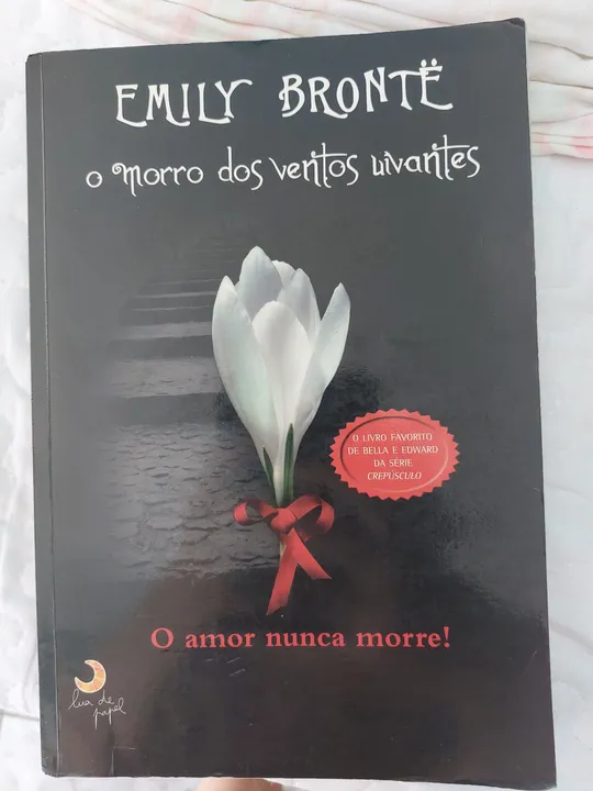Livro o Morro dos ventos uivantes