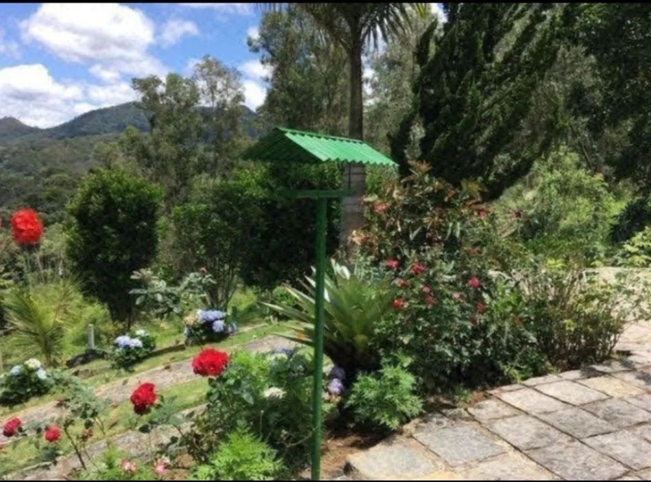 Comedouro de pássaros livres - Foto 2