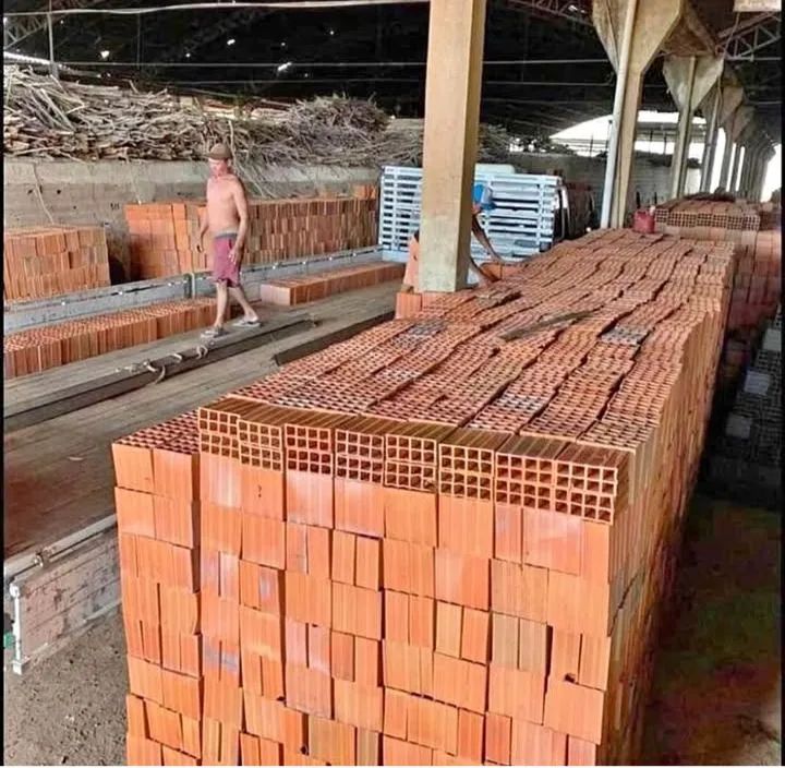 Tijolos 64842101622273121