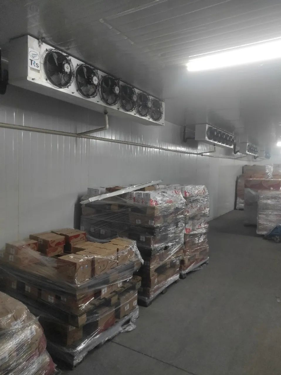 CAMARA FRIA PARA RESFRIADOS - Foto 5