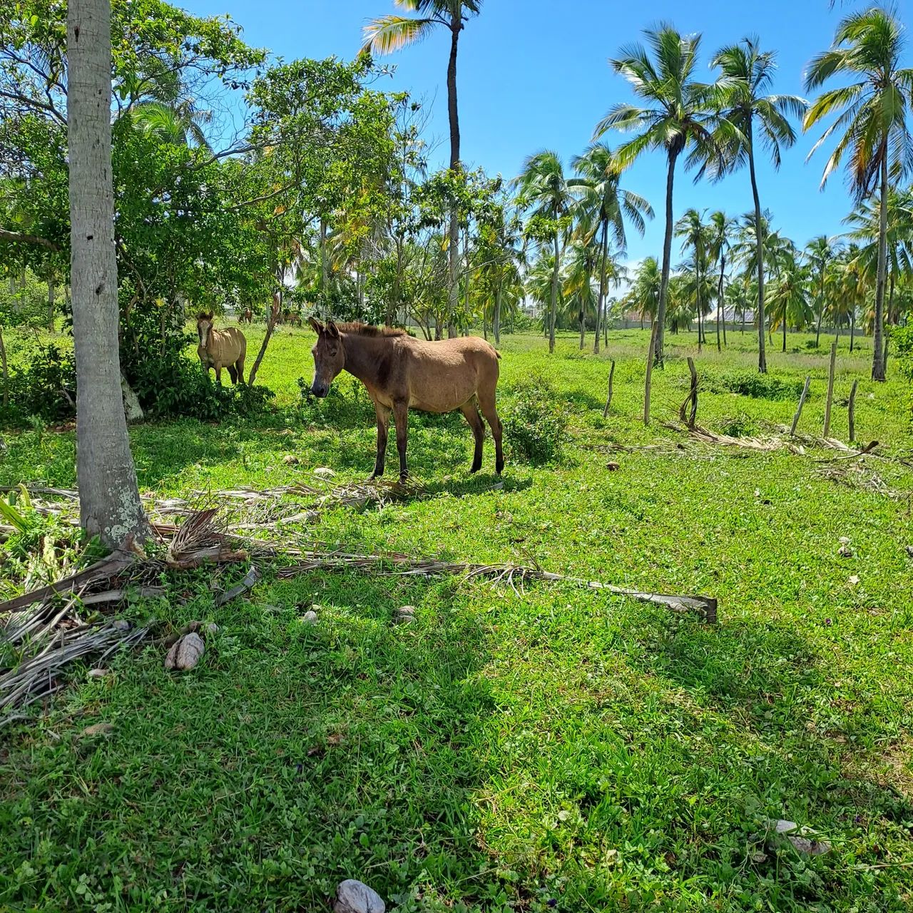 Vendo ou troco  - Foto 5