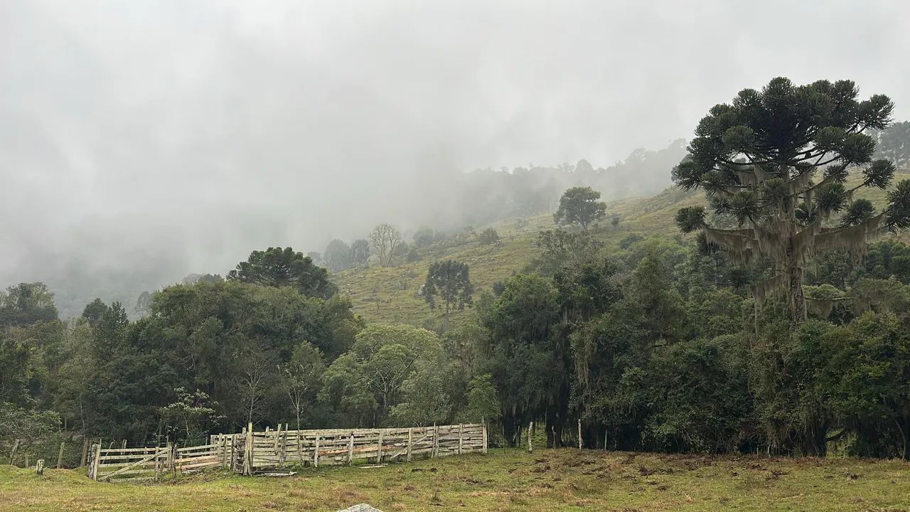 Sítio em Alfredo Wagner  - Foto 3