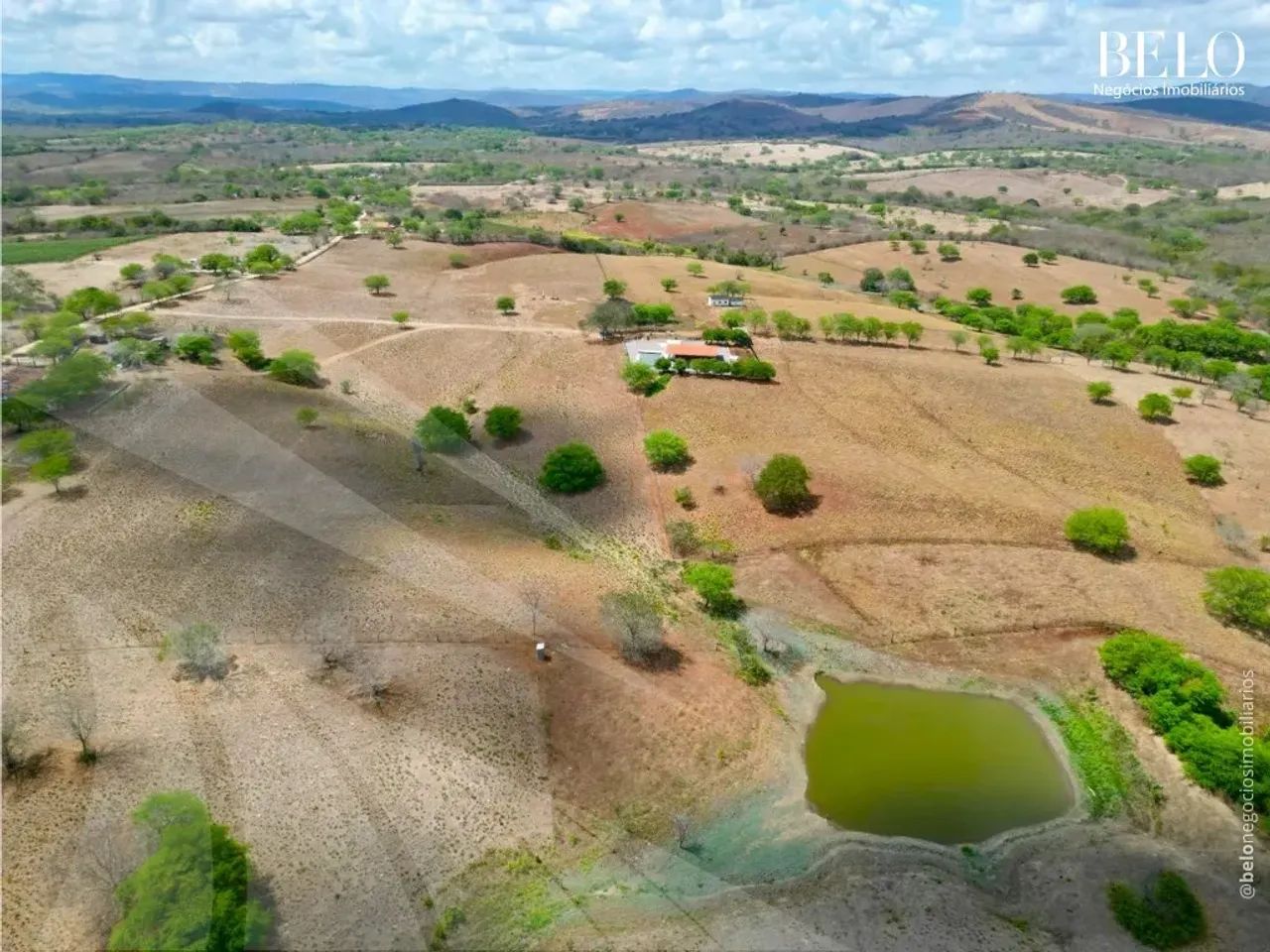 Fazenda com 42 Hectares em Pernambuco - Foto 4