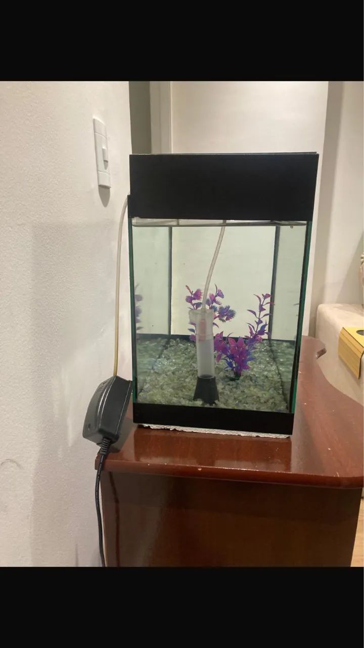 Aquário 64309467584001121