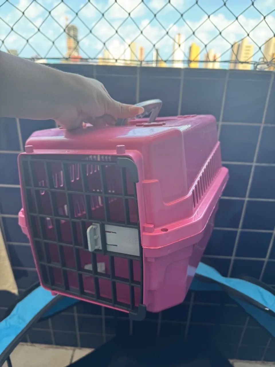 Kit Pet Filhote - Foto 3