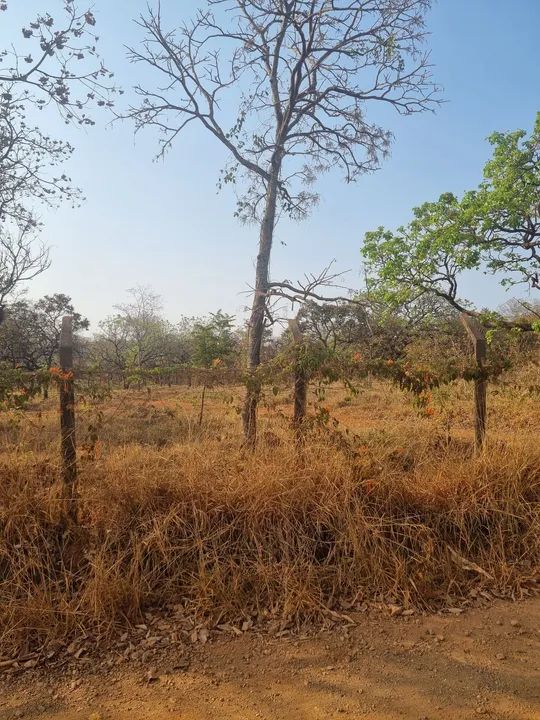 Lotes 300m² 10 minutos do centro - Foto 3