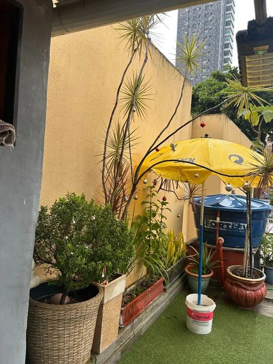 Plantas e vasos  - Foto 4