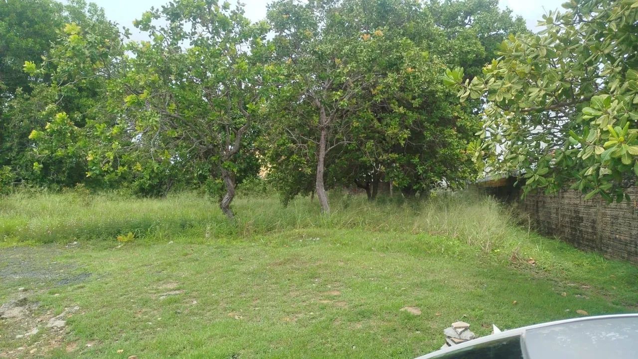 Vende-se terreno Caçari  - Foto 2