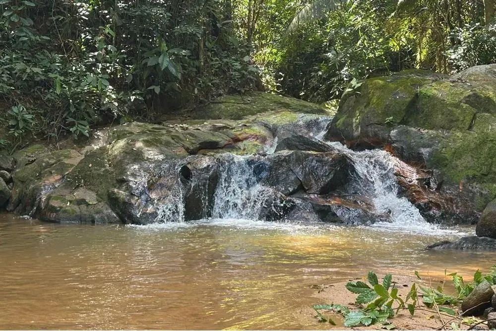 Fazenda em Braçanã para quem procura um excelente investimento ou tranquilidade. - Foto 3